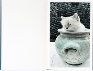 Karl Lagerfeld Choupette Karl Lagerfeld Choupette