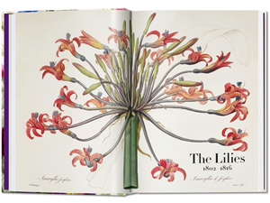 Pierre-Joseph Redoute: The Book of Flowers