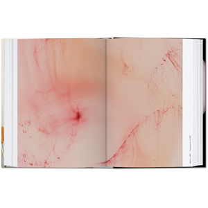 Wolfgang Tillmans アートブック　TASCHEN ティルマンス Wolfgang Tillmans : four books / Taschen ヴォルフガング