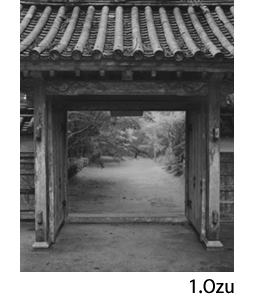Gerry Johansson: Ehime（プリント付特装版）