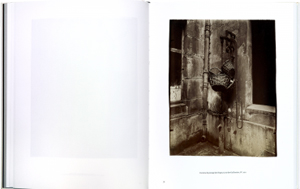 芸術写真 Eugene Atget : Voir Paris Eugène Atget, voir Paris, the exhibition at Paris Fondation