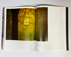 Hussein Chalayan NaiPublishers 作品集(2005) Hussein Chalayan NaiPublishers 作品集(2005) - メルカリ