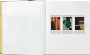 Romain Laprade: Polaroids