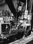 ƻ/ Daido Moriyama Ͽ39ʥܡˡòʡ
