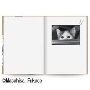 深瀬昌久 MASAHISA FUKASE アートブック 71W9UwiFXHL.jpg