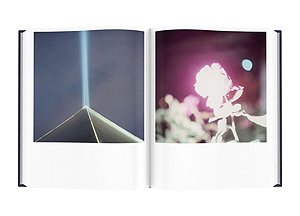 川内倫子/ Rinko Kawauchi: Illuminance. The Tenth Anniversary Edition