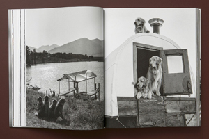 Bruce Weber: The Golden Retriever Photographic Society