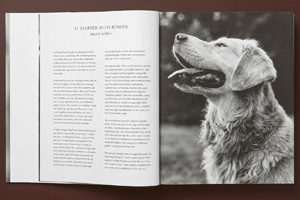 Bruce Weber: The Golden Retriever Photographic Society