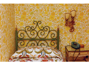 Amazon.co.jp: SOPHIE CALLE:THE HOTEL(H) : D. A. P. (USA).: 洋書