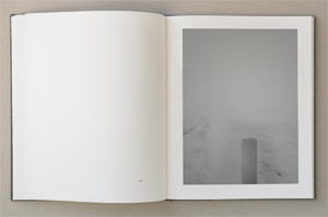 Stephen Gill: The Pillar