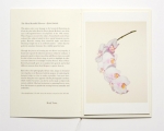 藤間謙二「The Most Beautiful Flowers」花の図鑑写真集 Kenji