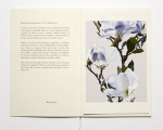 ƣָ: ץե֥åå Flower Encyclopedia - No. 07 Silk Flowers
