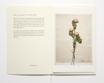 藤間謙二「The Most Beautiful Flowers」花の図鑑写真集 藤間謙二「The Most Beautiful Flowers」花の図鑑写真集 Kenji