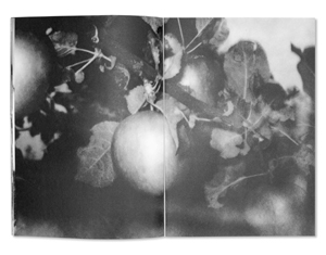 JH Engstrom: JH Engstrom