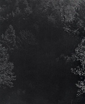 Awoiska van der Molen: SequesterʸŽ
