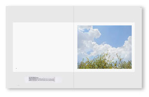 Alec Soth: Gathered Leaves Annotated （サイン入り翻訳シート付）
