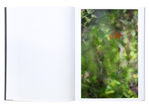 Terri Weifenbach: Cloud Physics