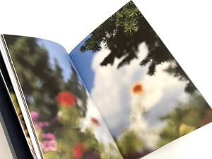 サイン入 / Signed】ANOTHER SUMMER / Terri Weifenbach