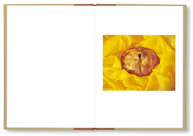 Jo Ann Callis: Cheap Thrills (One Picture Book Two #06)