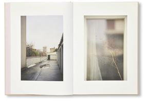 Ola Rindal: The Cloud, The Bird and The Puddle