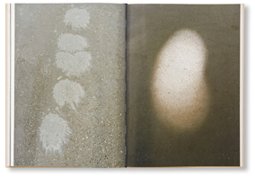 Ola Rindal: The Cloud, The Bird and The Puddle