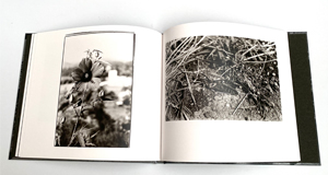 森山大道: 1980年代 余話