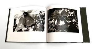 森山大道: 1980年代 余話