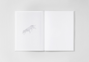 写真集】Ola Rindal オラ・リンダル 『Night, Light』