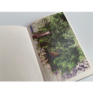 洋書 Mark Borthwick: Furnitured Ways Furnitured Ways - e15.shop