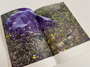 The Journal Entry No.21（With『Mark Borthwick: No Mark Will