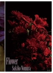 ¼: Flower