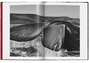 Sebastiao Salgado: Genesis