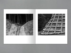 Toshio Shibata: Day for Night