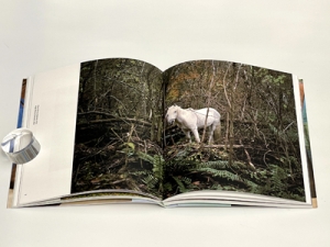 The Horse in the Gourd Charlotte Dumas - delpire & co