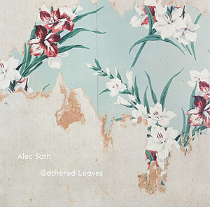 Alec Soth: Gathered Leaves (box set)