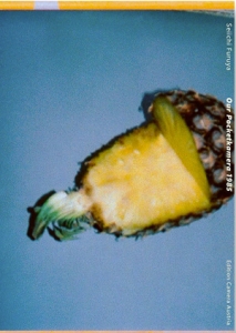 絶版＊古屋誠一 SEIICHI FURUYA 写真集 MEMORIES1995 Seiichi Furuya Memoires 1995 FOTOMUSEUM WINTERTHUR 古屋誠一