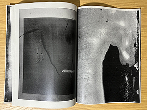 横田大輔 Daisuke Yokota: Matter 2024(サイン本)