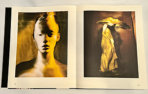 Paolo Roversi Photofile パオロ・ロベルシ洋書写真集 / 古本、中古本、古書籍の通販は「日本の古本屋」 / 日本の古本屋