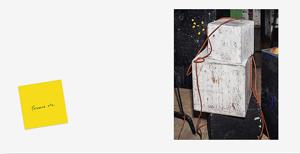 Alec Soth: Advice for Young Artists(サイン入り) Alec Soth: Advice for Young Artists(サイン入り)
