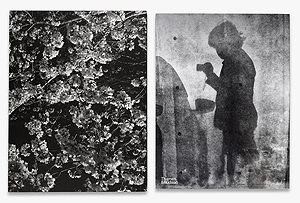 Daido Moriyama: Record 2