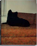 In Almost Every Picture #9: Dog (Ž)