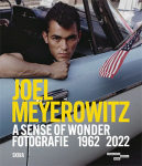 Meyerowitz, Joel ジョエル・マイエロヴィッツ
