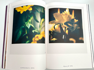 Francois Halard: Art & Flowers