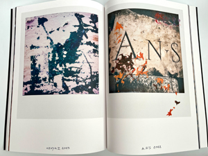 Francois Halard: Art & Flowers