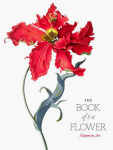 The Book of the Flower: Flowers in Art���ò��ʡ�