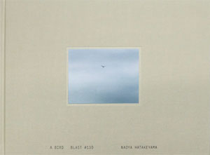 Naoya Hatakeyama 畠山直哉 A BIRD BLAST #130 畠山直哉/ Naoya Hatakeyama: A BIRD/ Blast #130