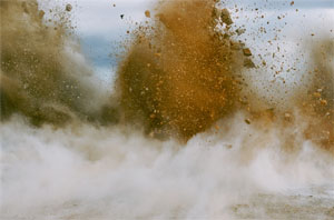 畠山直哉/ Naoya Hatakeyama: A BIRD/ Blast #130