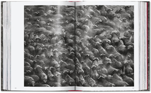 Sebastiao Salgado: Genesis