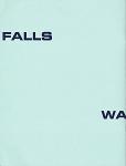 Sam Falls: Rocks Waves