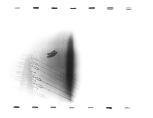 原芳市：常世の虫